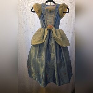 Disney Princess Dress.  Halloween, dress us, photoshoot.